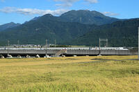 八海山.とき328号(E2系)　上越新幹線　越後湯沢～浦佐 [MAK110000025]