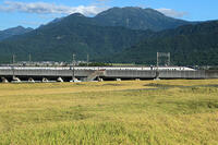 八海山　とき373系(E7系)　上越新幹線　越後湯沢～浦佐 [MAK110000026]
