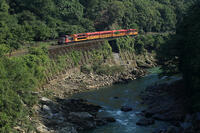 嵯峨野14号 [MAK110000047]