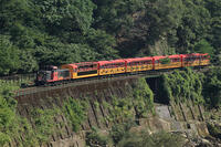 嵯峨野14号 [MAK110000048]