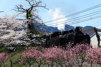 かわね路1号 [MAK110000049]