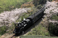 大井川鉄道 [MAK110000050]