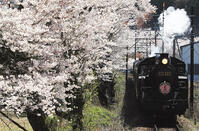 急行「かわね路号」 [MAK110000051]