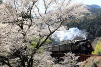 かわね路号 [MAK110000052]