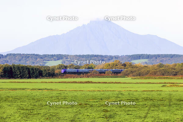 サロベツ2号　宗谷本線　徳満～豊富 [MAK110000004]