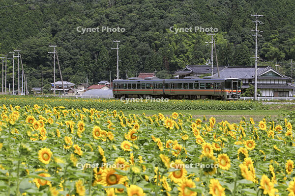姫新線　三日月～播磨徳久 [MAK110000005]