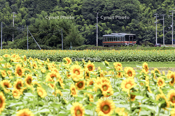 姫新線　三日月～播磨徳久 [MAK110000006]