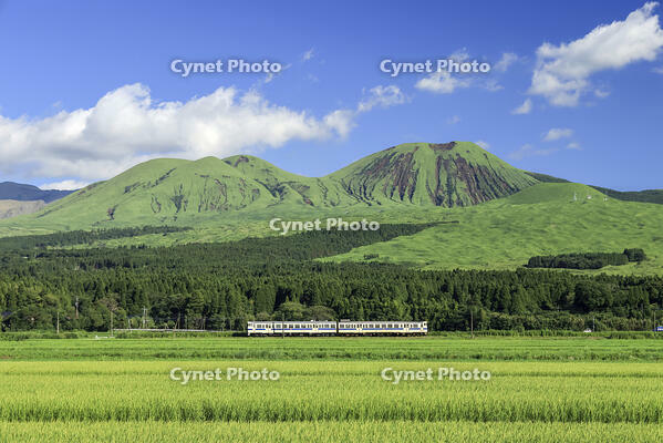 普通列車(443D)　豊肥本線 市ノ川～内牧 [MAK110000012]