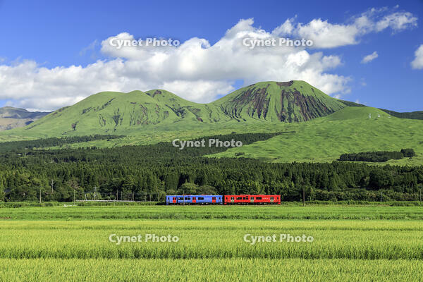 普通列車(446D)no01　豊肥本線 市ノ川～内 [MAK110000013]