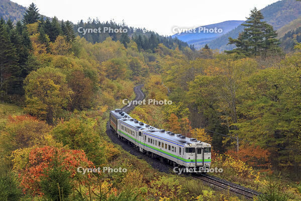 普通列車(4653D)　石北本線 生田原～西留辺蘂 [MAK110000014]