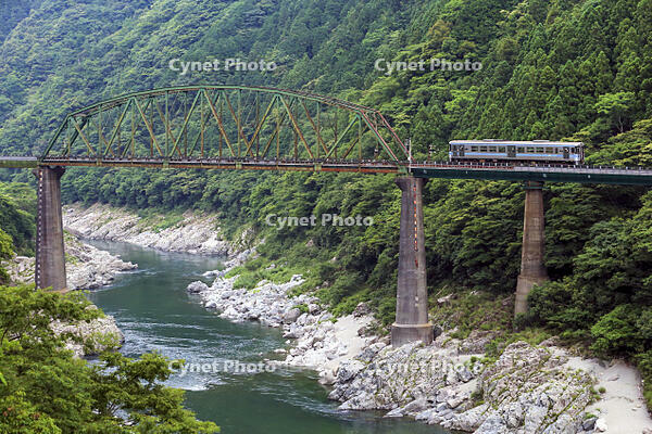 JR土讃線　普通列車　大歩危～小歩危 [MAK110000016]