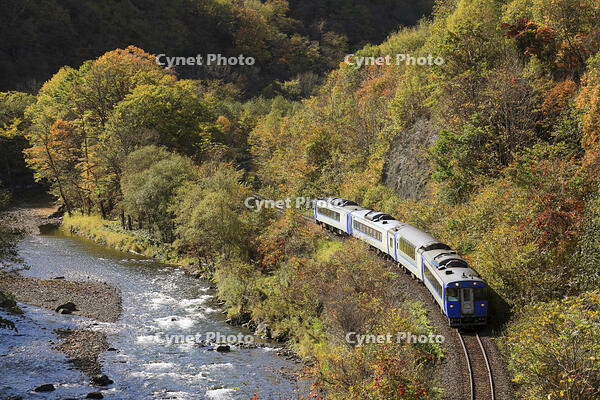 特急「オホーツク1号」　石北本線 白滝～丸瀬布 [MAK110000019]