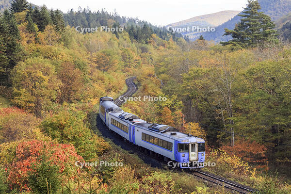 特急「オホーツク2号」　石北本線 生田原～西留辺蘂 [MAK110000020]