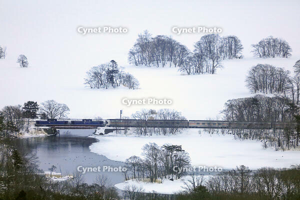 特急「カシオペア」　函館本線　大沼公園～赤井川 [MAK110000021]