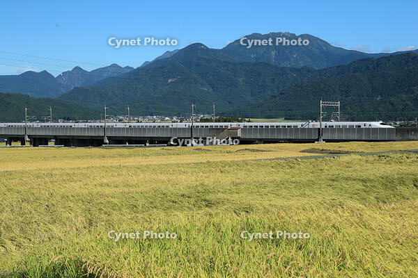 八海山.とき324号(E2系)　上越新幹線　越後湯沢～浦佐 [MAK110000024]
