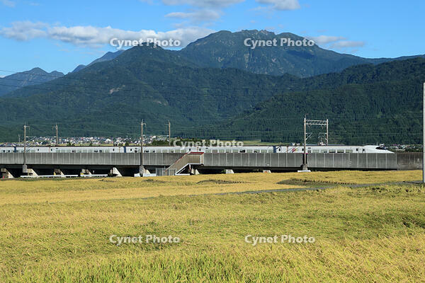 八海山.とき328号(E2系)　上越新幹線　越後湯沢～浦佐 [MAK110000025]