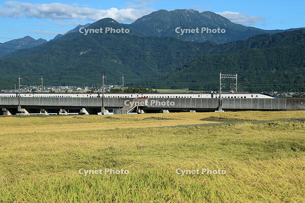 八海山　とき373系(E7系)　上越新幹線　越後湯沢～浦佐 [MAK110000026]