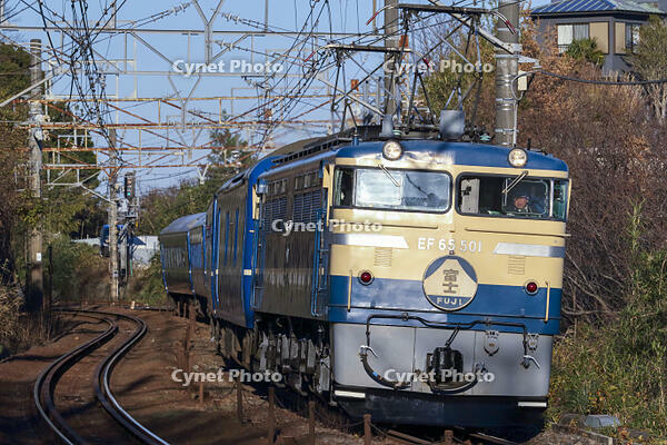 特急「富士」EF65牽引 [MAK110000031]