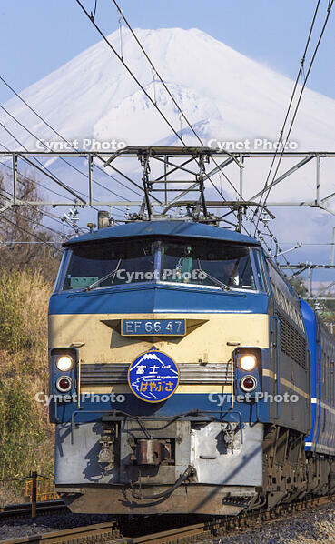 特急「富士・はやぶさ」 EF66牽引 [MAK110000035]