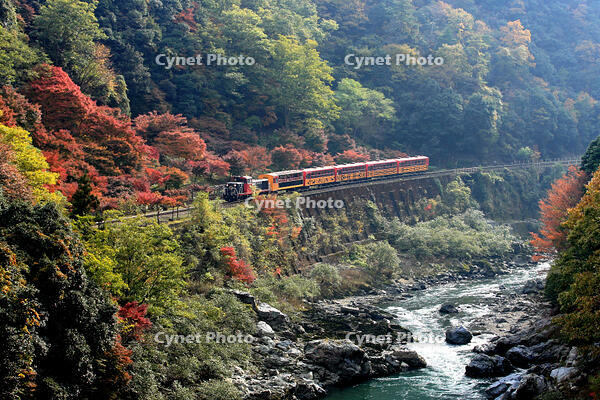嵯峨野観光鉄道 [MAK110000046]