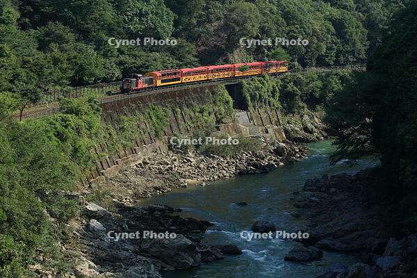 嵯峨野14号 [MAK110000047]