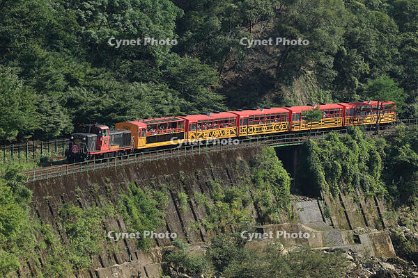 嵯峨野14号 [MAK110000048]