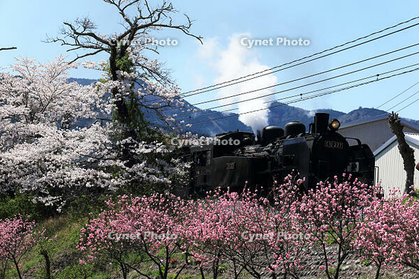 かわね路1号 [MAK110000049]