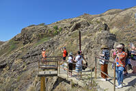 ダイヤモンド・ヘッド頂上への道 [JIM110002717]