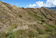 ダイヤモンド・ヘッド頂上への道 [JIM110002718]