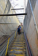 ダイヤモンド・ヘッド頂上への道 [JIM110002719]