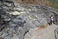 ダイヤモンド・ヘッド頂上への道 [JIM110002721]