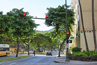 信号機 [JIM110002739]