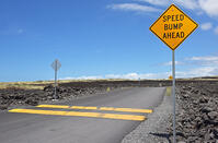 スピードバンブ [JIM110002795]