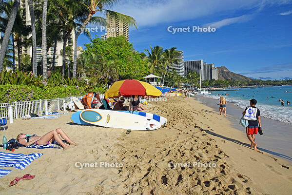 ワイキキビーチ [JIM110002704]