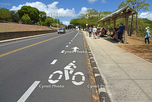 ダイアモンド・ヘッド・ロード　自転車レーン [JIM110002713]