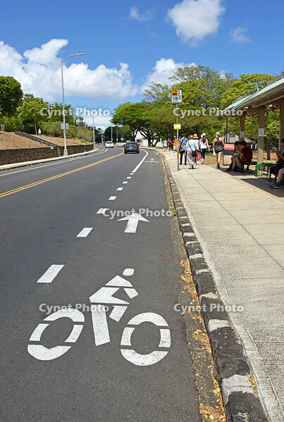 ダイアモンド・ヘッド・ロード　自転車レーン [JIM110002714]