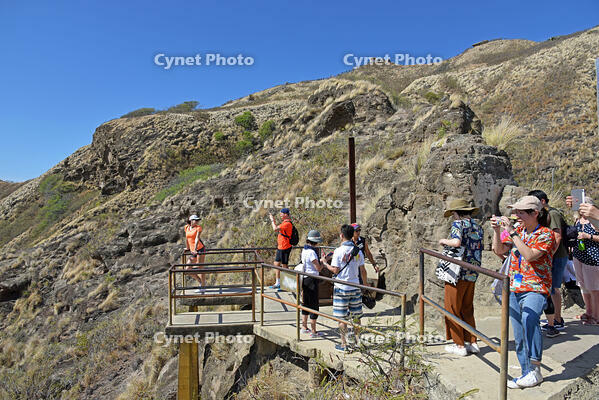 ダイヤモンド・ヘッド頂上への道 [JIM110002717]