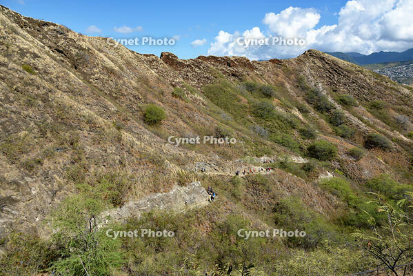 ダイヤモンド・ヘッド頂上への道 [JIM110002718]