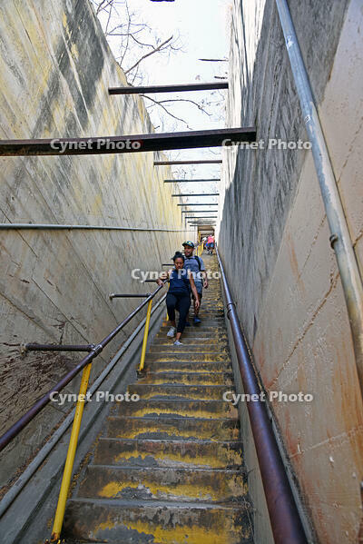 ダイヤモンド・ヘッド頂上への道 [JIM110002719]