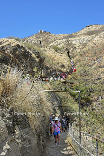 ダイヤモンド・ヘッド頂上への道 [JIM110002720]