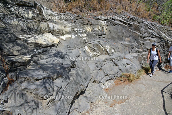 ダイヤモンド・ヘッド頂上への道 [JIM110002721]