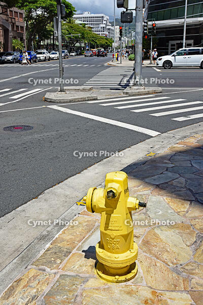 消火栓 [JIM110002738]