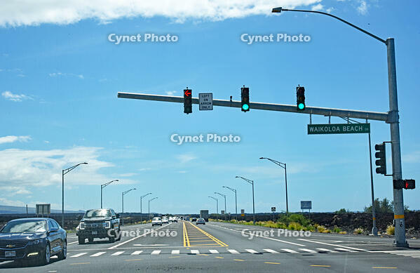 信号機 [JIM110002794]