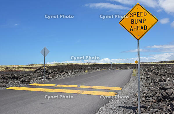 スピードバンブ [JIM110002795]