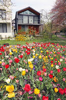 春の花壇　東京都　杉並区 [MAS110007009]