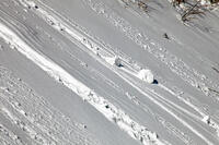 雪まくり　新潟県　湯沢町 [MAS110007311]