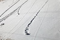 雪まくり　新潟県　湯沢町 [MAS110007313]