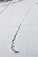 雪まくり　新潟県　湯沢町 [MAS110007314]