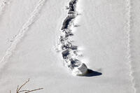 雪まくり　新潟県　湯沢町 [MAS110007315]