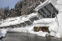 雪崩防護柵　新潟県　津南町 [MAS110007319]
